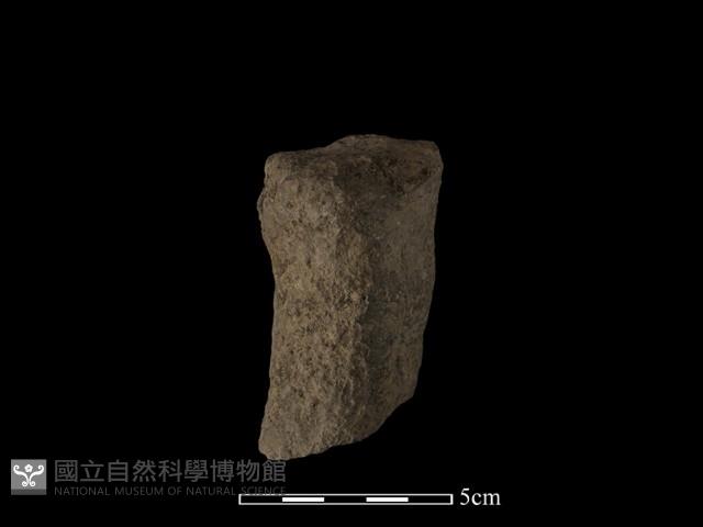 獸足藏品圖，第3張