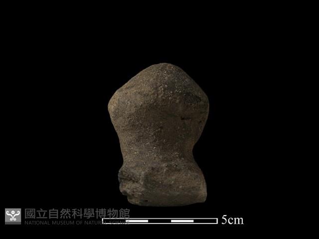 陶蓋鈕藏品圖，第2張