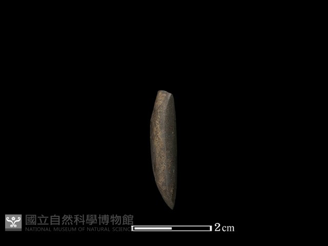 錛鑿形器藏品圖，第2張