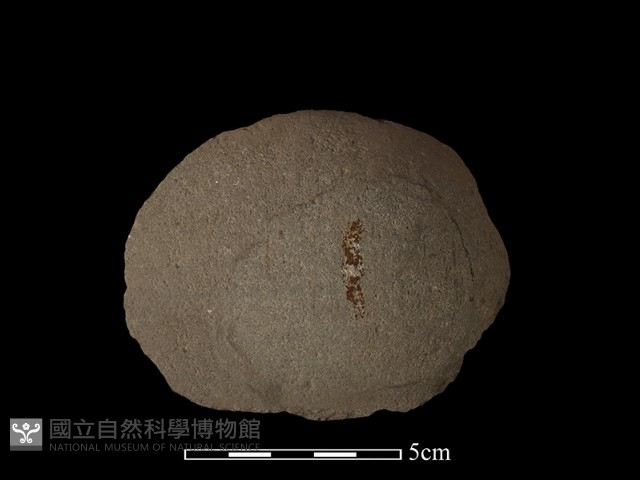 石片器藏品圖，第1張
