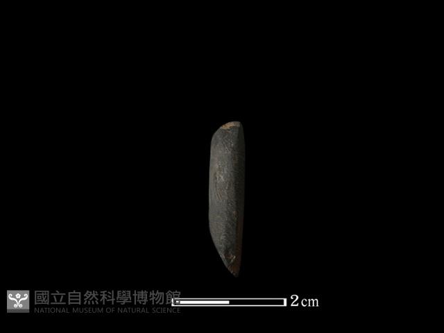 錛鑿形器藏品圖，第3張