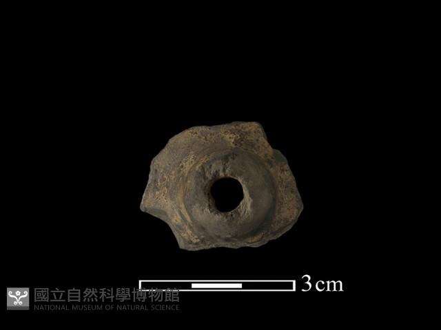 紡輪藏品圖，第2張