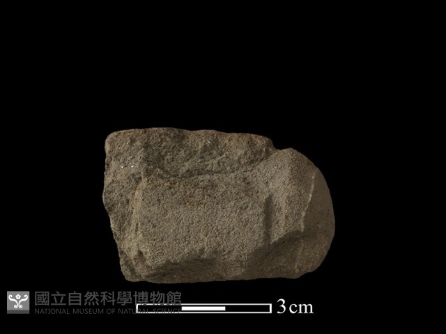 網墜藏品圖，第2張