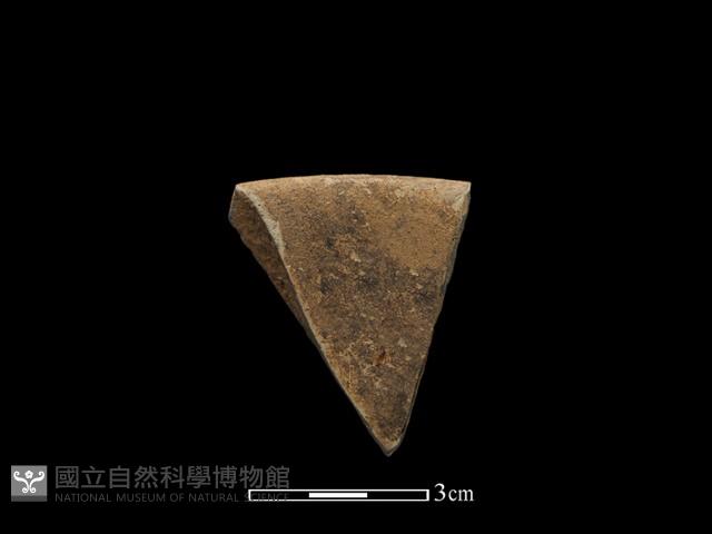 陶片藏品圖，第2張