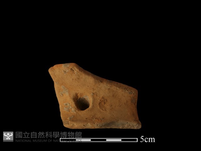 陶片藏品圖，第3張
