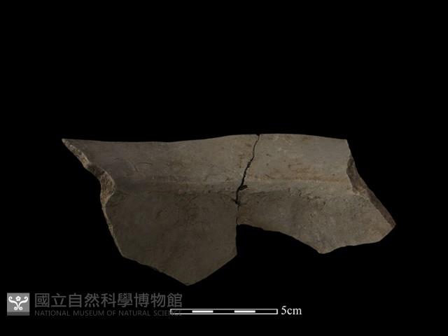 陶罐藏品圖，第1張