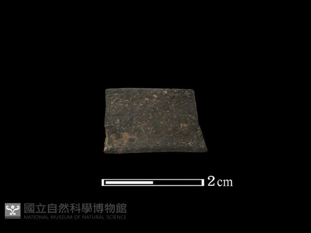 陶環藏品圖，第2張