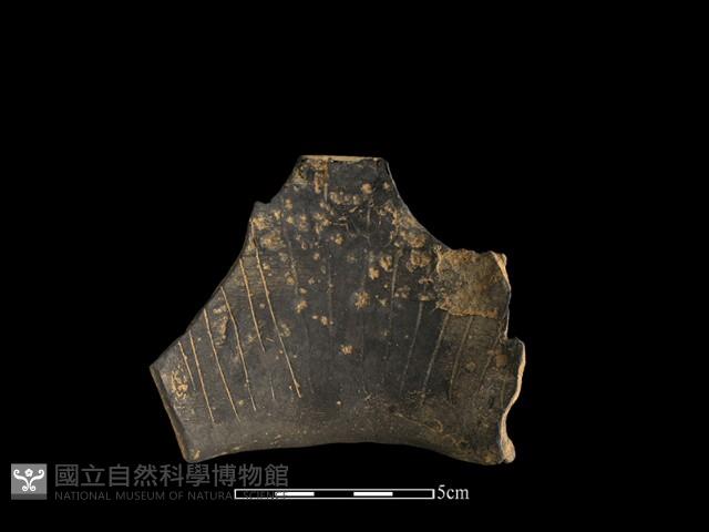 陶片藏品圖，第1張