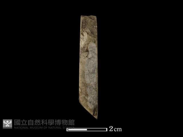 錛鑿形器藏品圖，第1張