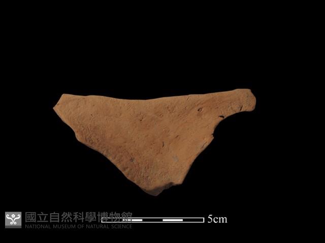 連杯形器藏品圖，第2張