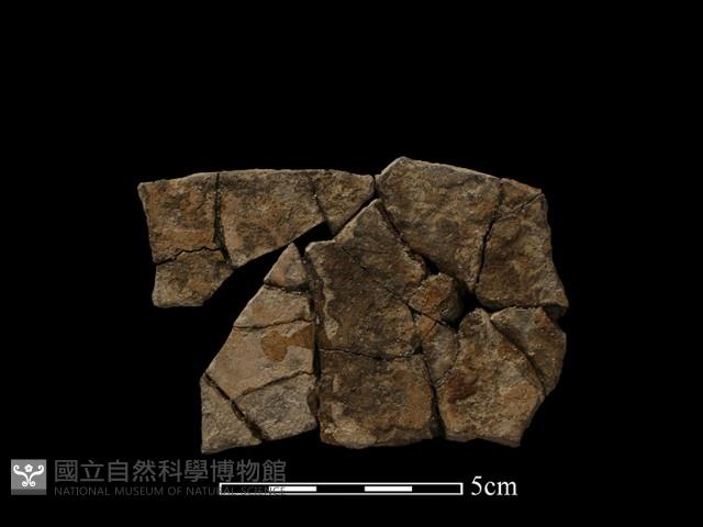 陶片藏品圖，第2張