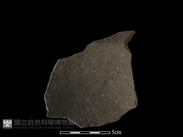 陶片藏品圖，第2張