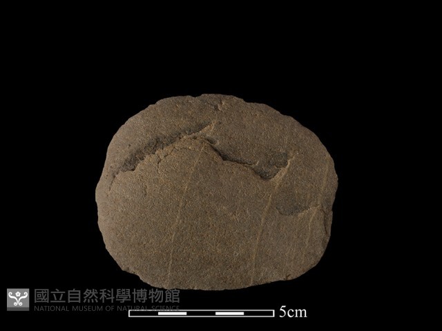 石片器藏品圖，第2張