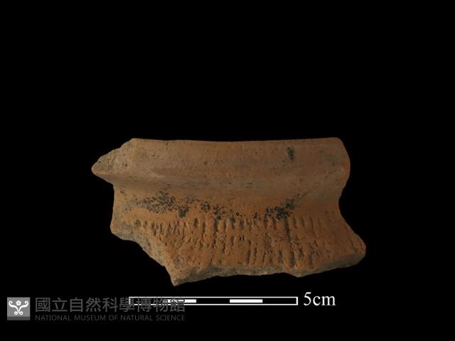 陶罐藏品圖，第3張