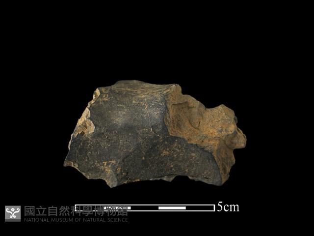 陶片藏品圖，第1張