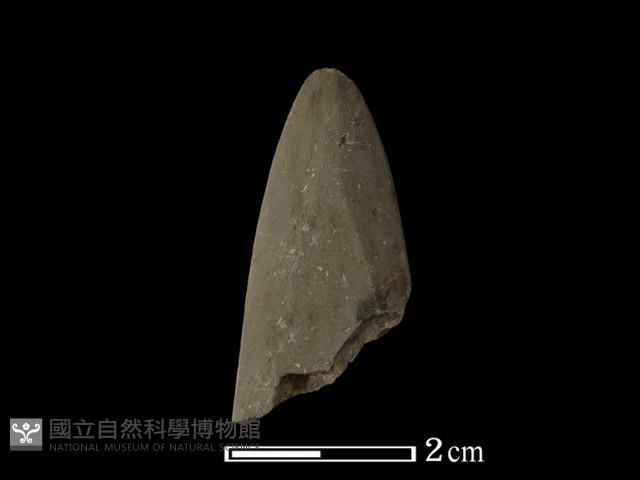 矛鏃形器藏品圖，第2張