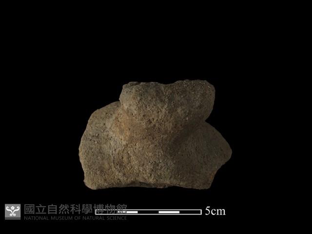 陶蓋鈕藏品圖，第2張