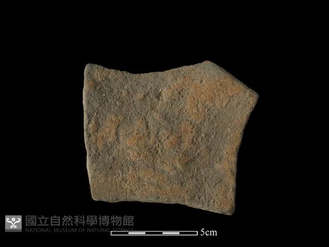 陶片藏品圖，第2張