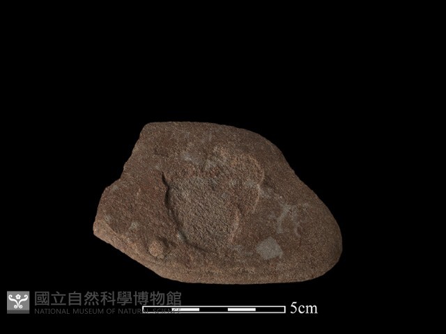 石片器藏品圖，第3張