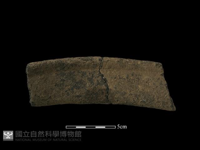 陶缸藏品圖，第3張