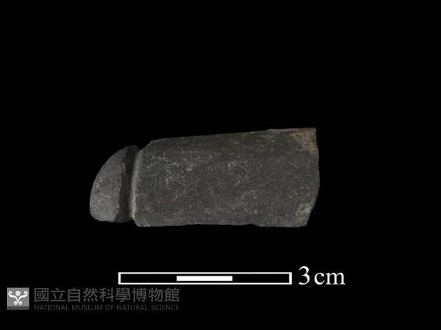 網墜藏品圖，第1張