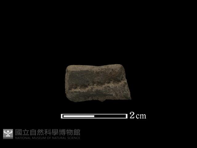 陶環藏品圖，第2張