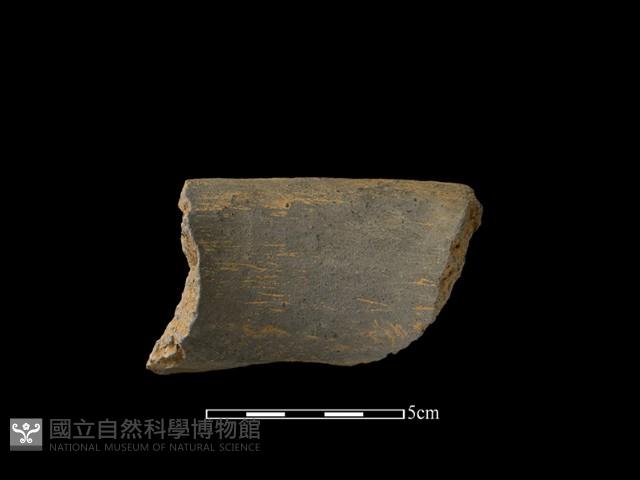 陶片藏品圖，第2張