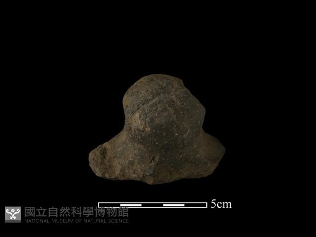 陶蓋鈕藏品圖，第2張