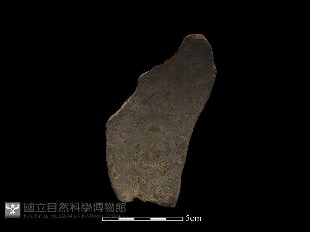 陶片藏品圖，第2張