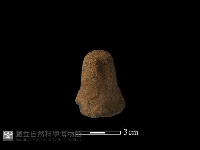 陶蓋鈕藏品圖，第1張