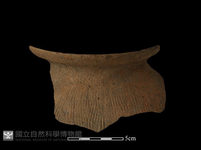 陶罐藏品圖，第2張