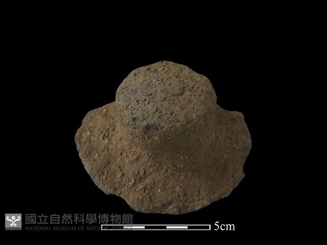 陶蓋鈕藏品圖，第2張