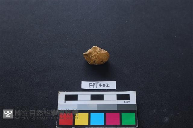 鹿骨藏品圖，第2張