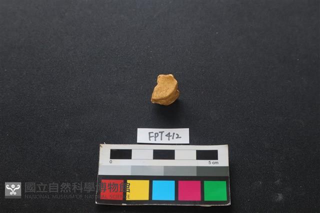 鹿骨藏品圖，第2張