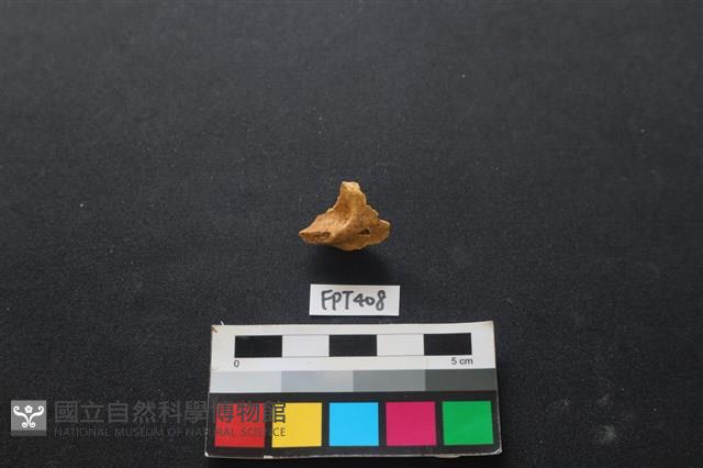 鹿骨藏品圖，第2張