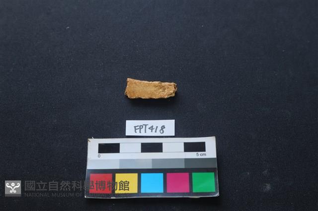 鹿骨藏品圖，第2張