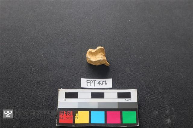 鹿骨藏品圖，第2張