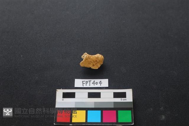 鹿骨藏品圖，第2張