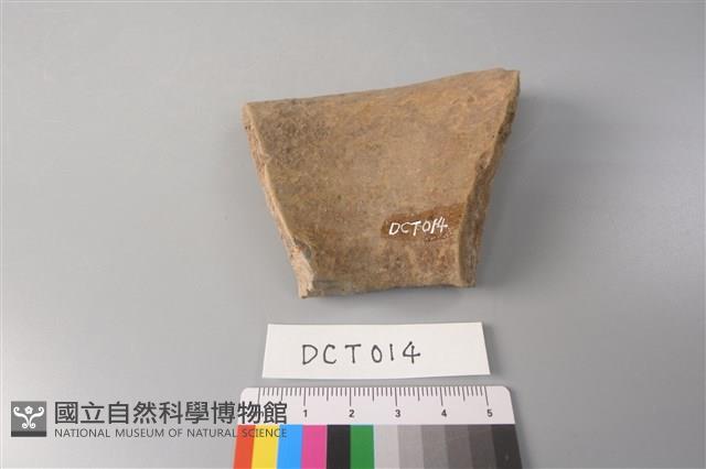 陶片藏品圖，第2張