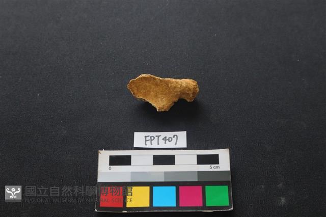 鹿骨藏品圖，第2張