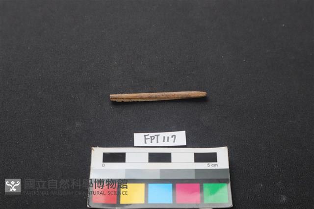 魚骨藏品圖，第2張