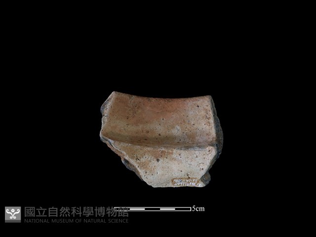 陶罐藏品圖，第2張
