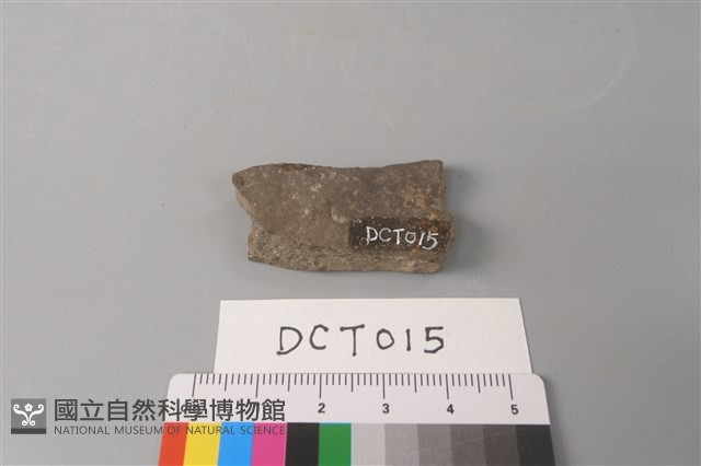 陶片藏品圖，第2張