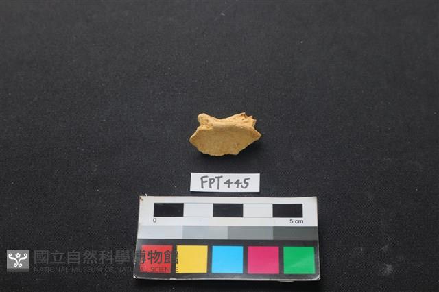 鹿骨藏品圖，第2張
