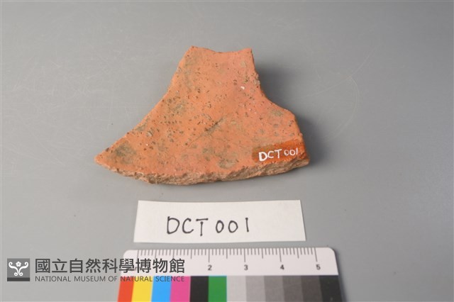 陶片藏品圖，第2張