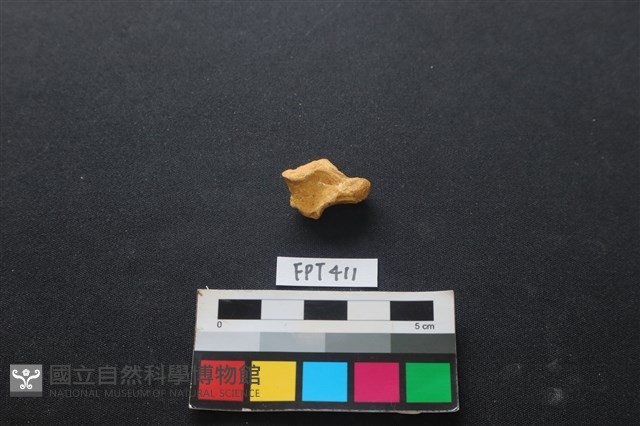 鹿骨藏品圖，第2張