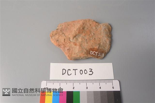 陶片藏品圖，第2張