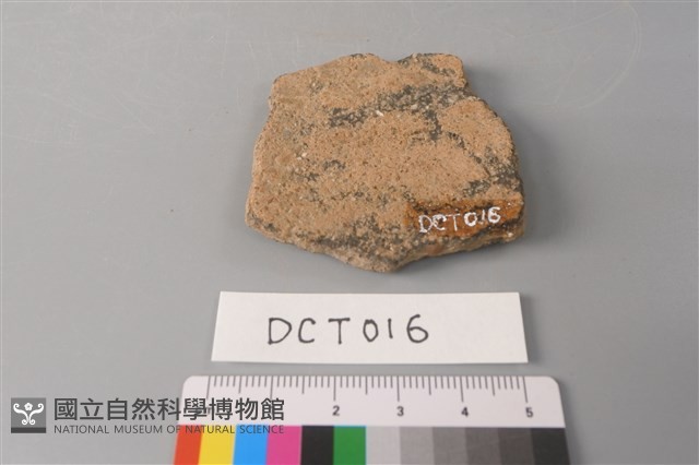 陶片藏品圖，第2張