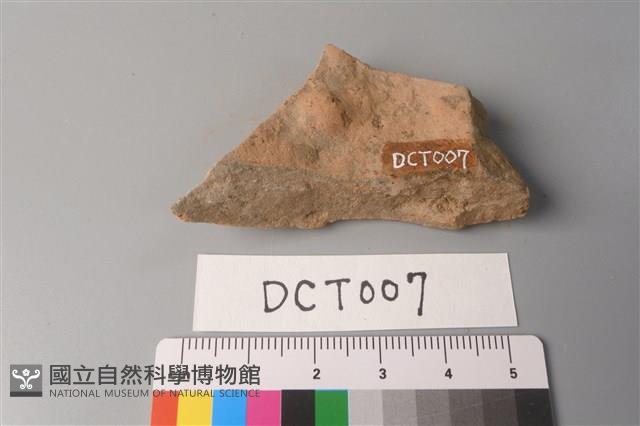 陶片藏品圖，第2張