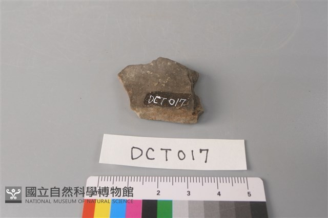 陶片藏品圖，第2張